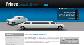 Pixel Design Portfolio, Prince Limousine Services